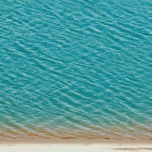 Meet your Posher, Alan